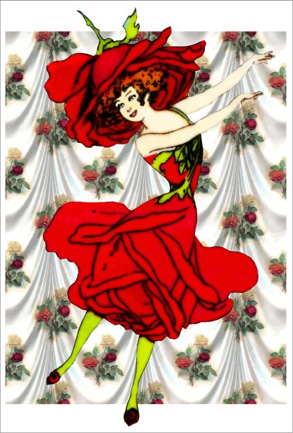 美国丽人的玫瑰图片下载