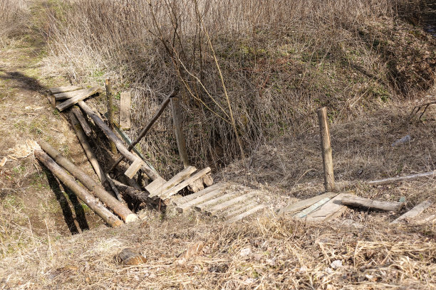 河上的断木桥(俄罗斯)图片下载