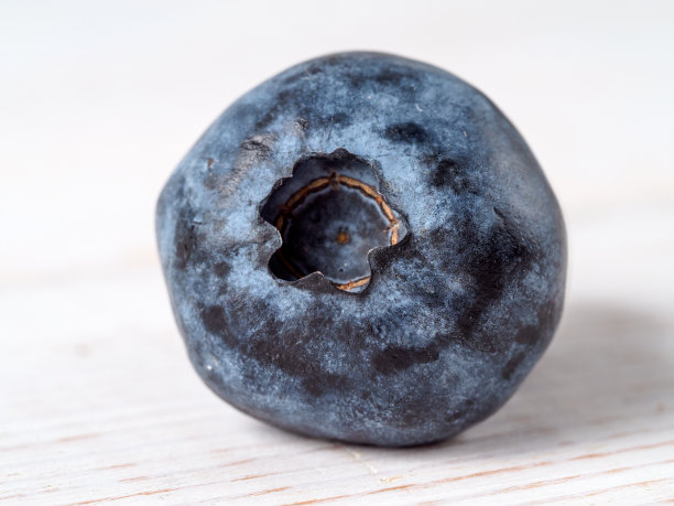 新鲜的蓝莓木背景。图片下载