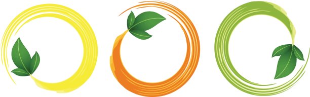 绿色叶子的圆形框架图片下载