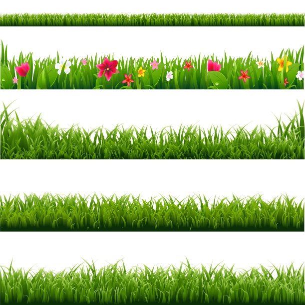 大Set绿草和花的边界图片下载
