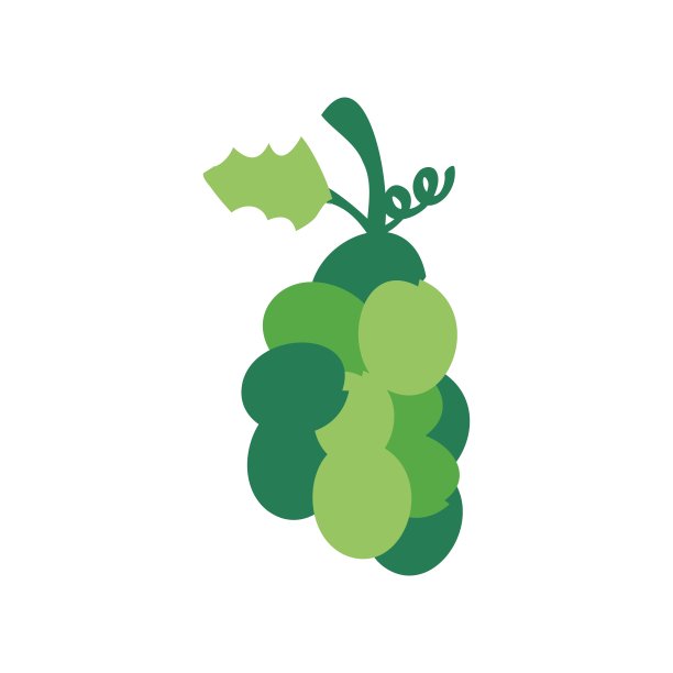 圣诞绿葡萄图标图片下载
