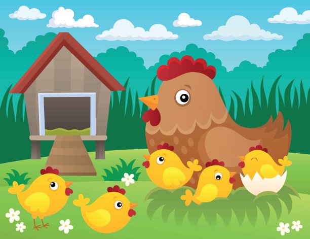 小鸡主题图片2图片下载