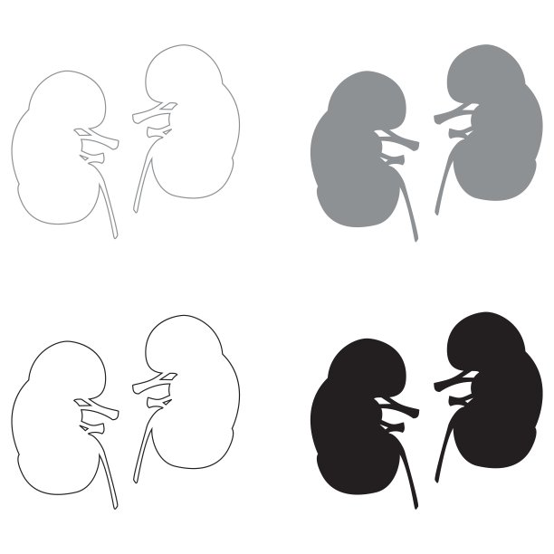 肾脏黑灰色图标集图片下载