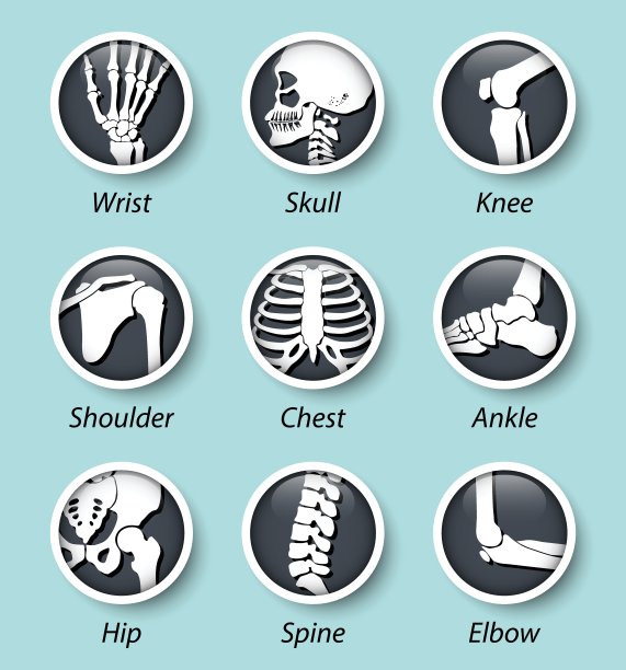 骨架系统图标与凸出的玻璃盖图片下载