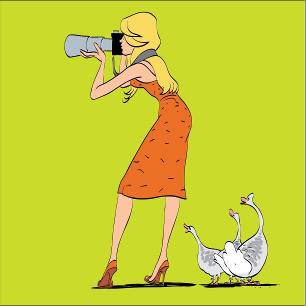 女孩摄影师和大自然中的鹅图片下载