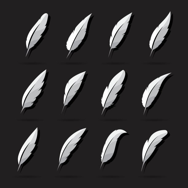 白色背景上的羽毛向量组。图标。羽毛symb图片下载