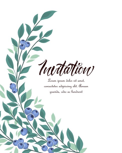 背景蓝莓水果图片下载