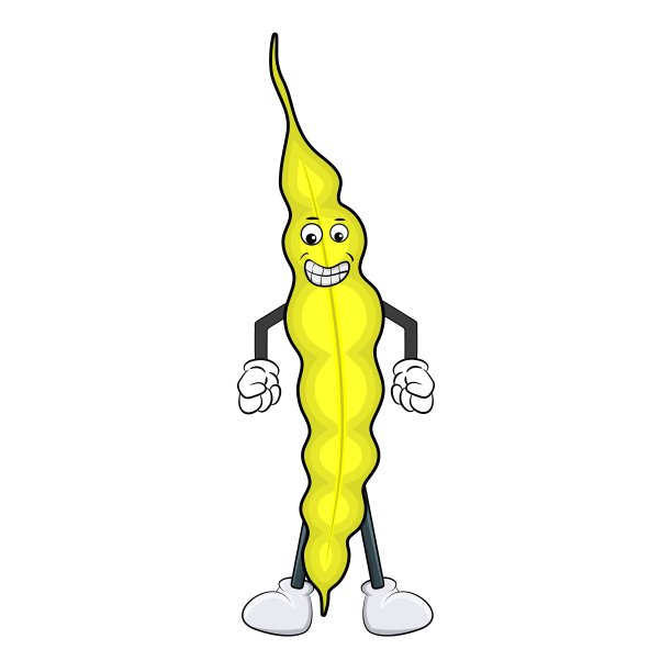 有趣的卡通豆子孤立在白色的背景图片下载