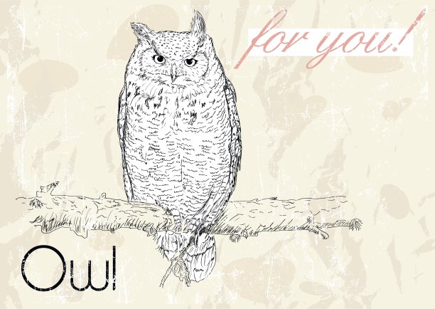 海报和猫头鹰。复古风格。图片下载
