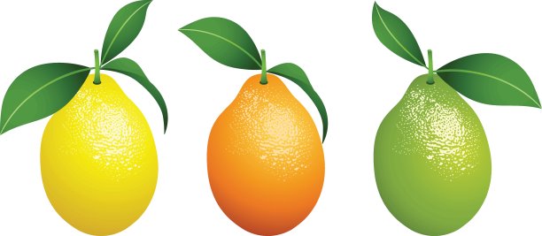 柑橘类水果图片下载