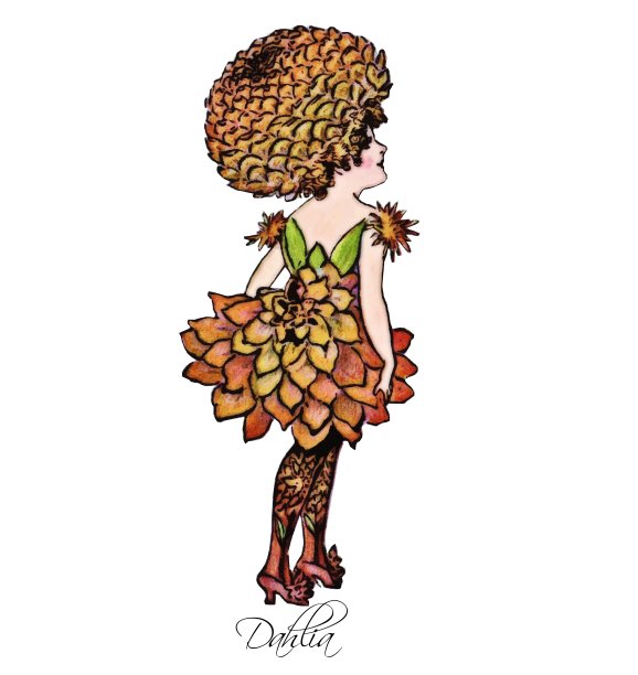 花的孩子大丽图片下载