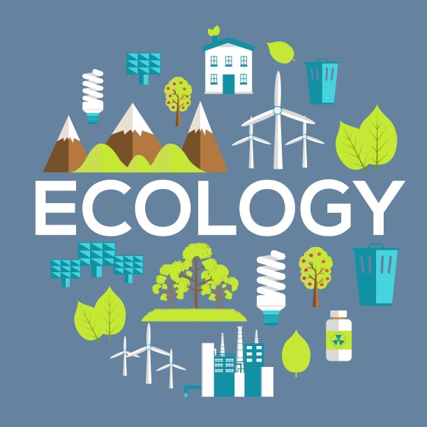 生态圈信息图模板概念。你的产品或设计、网页和移动应用程序的图标。矢量平与长阴影插图上的蓝色背景图片下载