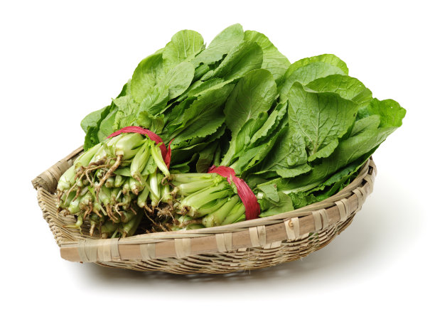 小的白菜图片下载