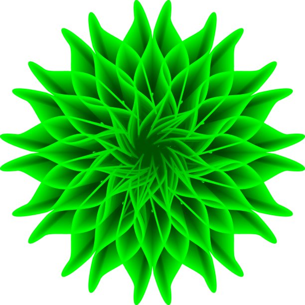 白色背景上的绿色花朵图片下载