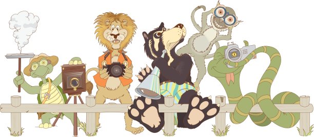 动物园的动物卡通。海龟、猴子、狮子、熊和蛇在拍照。画动物。矢量图图片下载
