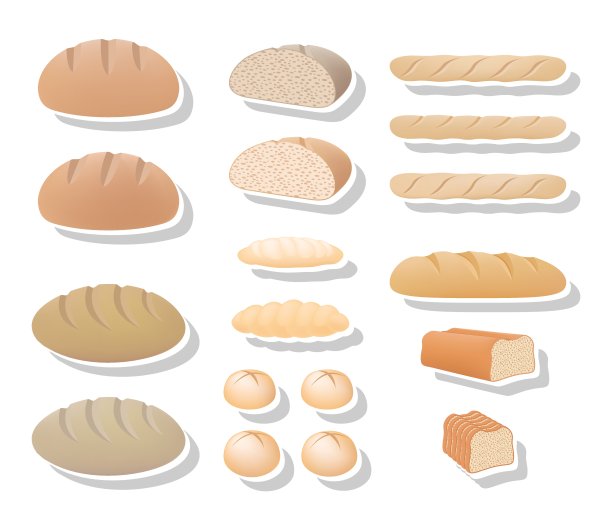 常见的面包集合图片下载