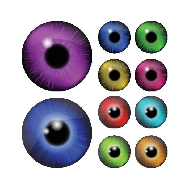 眼睛、眼球瞳孔、虹膜眼套。真实的矢量插图孤立在白色背景。图片下载