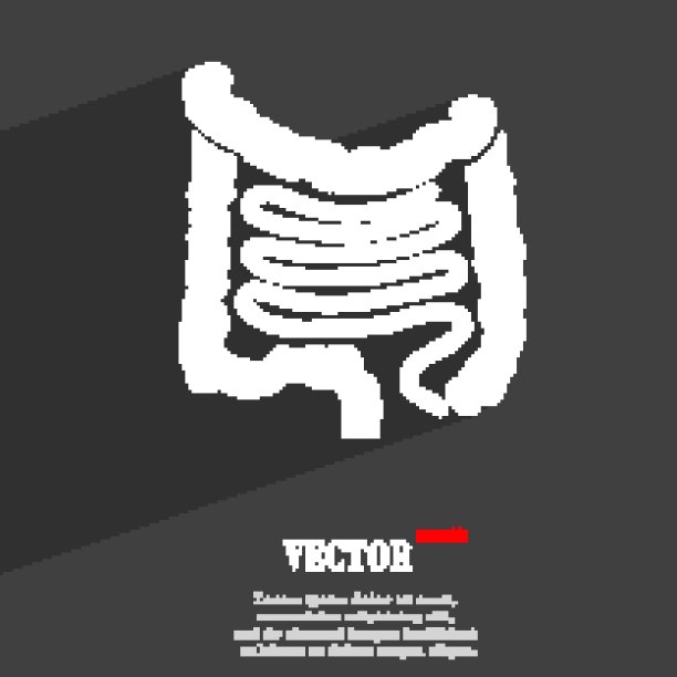 肠符号扁平的现代网页设计与长阴影和空间为您的文本。向量图片下载