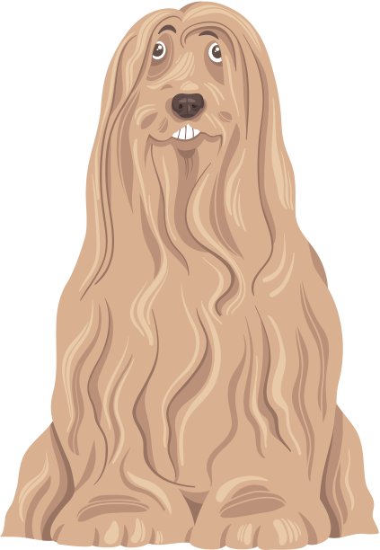 长胡子的柯利牧羊犬卡通图片下载