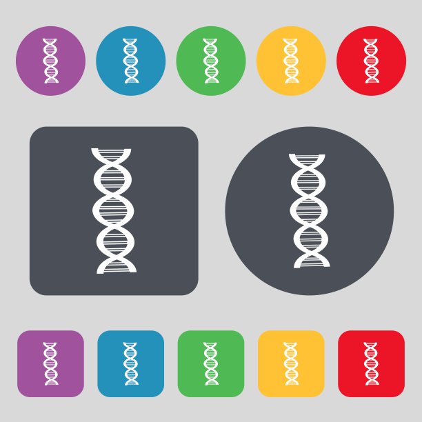 DNA图标符号。一套12个颜色的按钮。平面设计。向量图片下载
