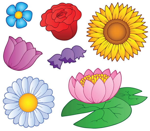 各种花组图片下载