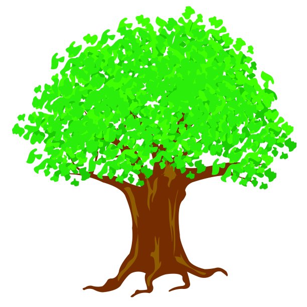 插图树与绿色树叶在白色的背景图片下载