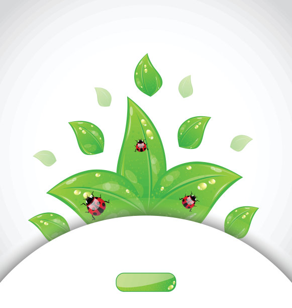 商业手册模板与绿叶和瓢虫图片下载