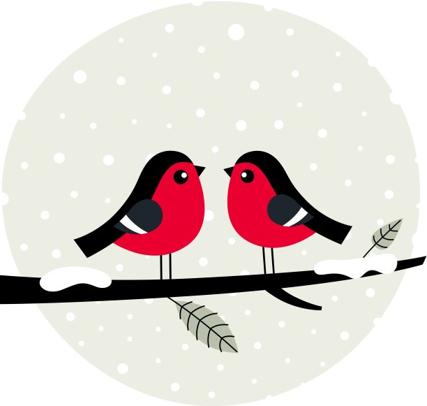 冬天的鸟儿坐在树枝上图片下载