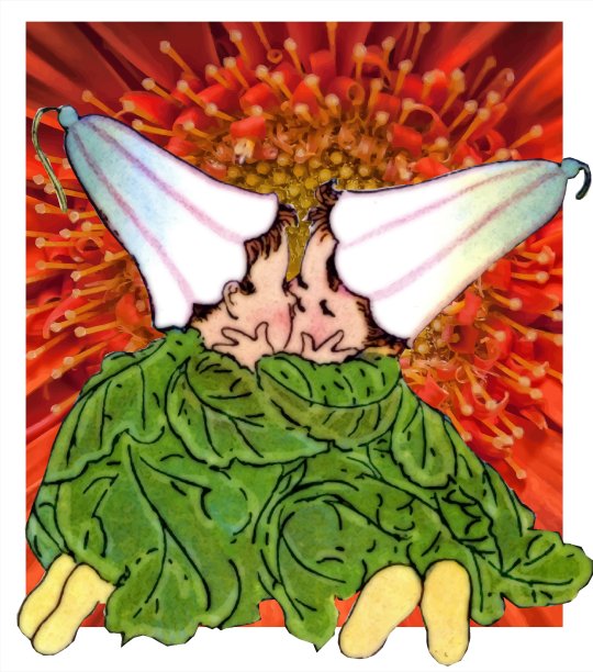 双生花图片下载