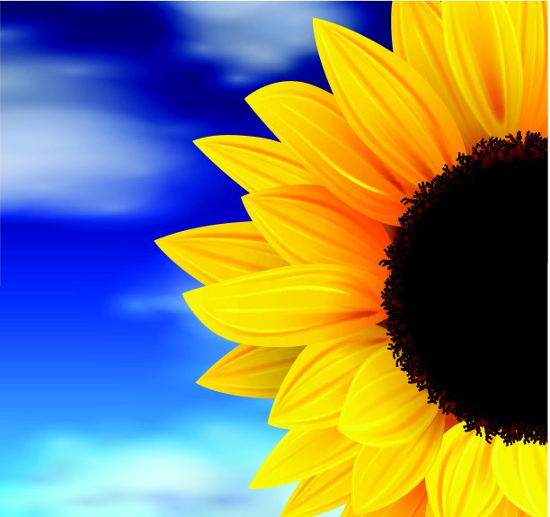 夏天的背景图片下载