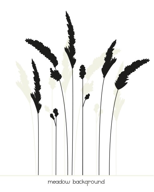 草甸草图片下载