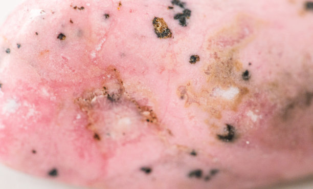 宏观矿物石rodonite在白色背景特写图片下载