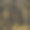 装饰华丽的金框标签图片下载