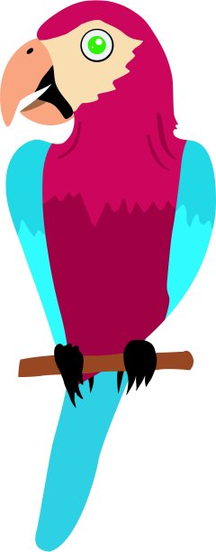有趣的鹦鹉图片下载