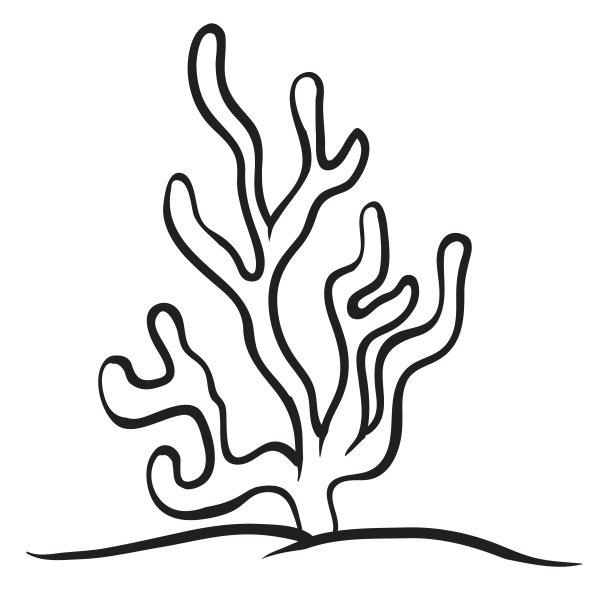 一种水下植物图片下载