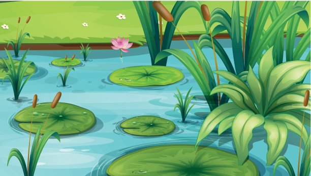 有许多植物的池塘图片下载