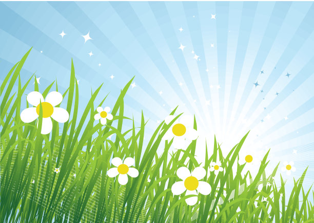 春天草地美丽图片下载