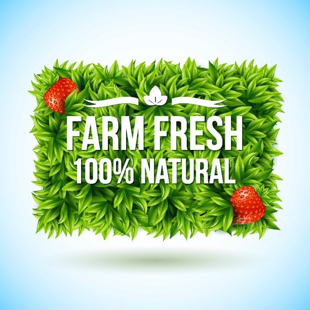 农场新鲜叶子做成的标签。矢量插图。图片下载
