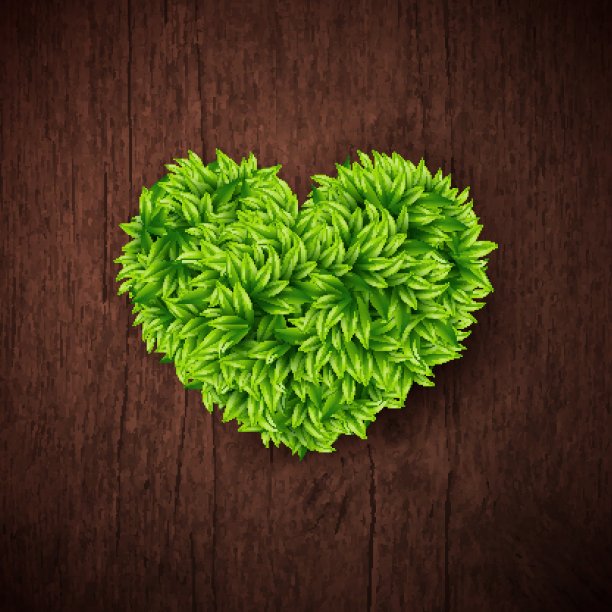 自然的背景与木板和心的树叶。V图片下载