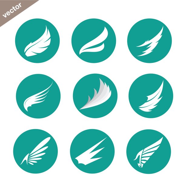 在白色背景上的圆中的翼向量组图片下载