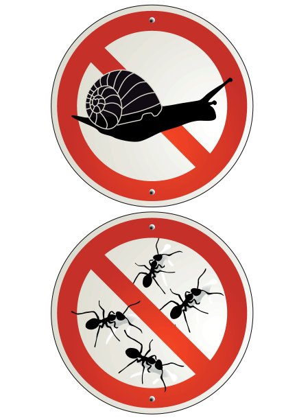 花园的流氓图片下载