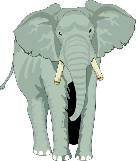 大象,插图图片下载