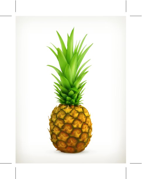 菠萝向量图片下载