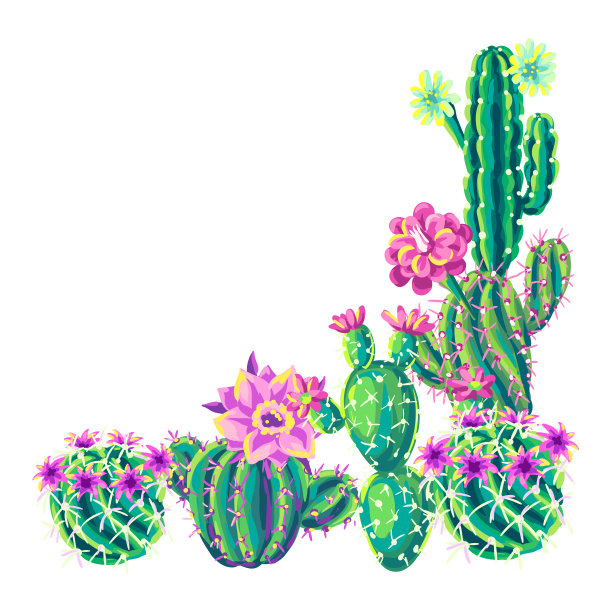 背景有仙人掌和花。图片下载