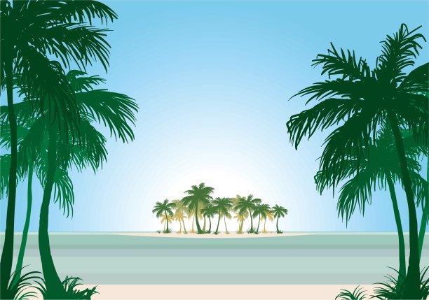 棕榈滩图片下载