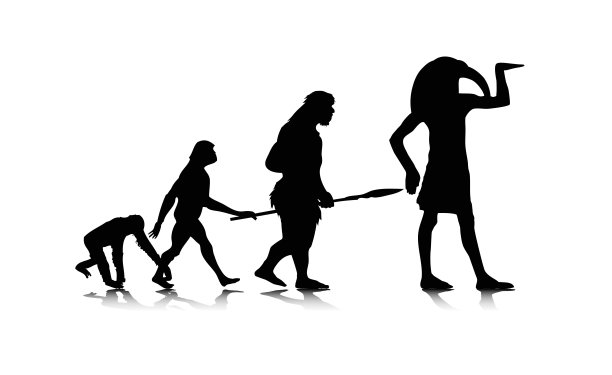 人类进化12图片下载