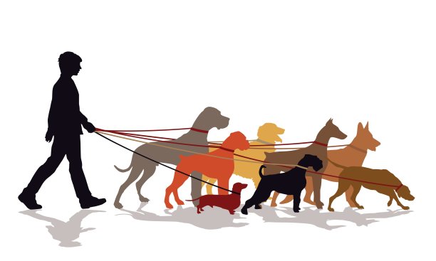 遛狗服务图片下载