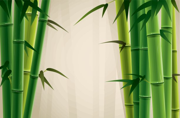 竹林图片下载