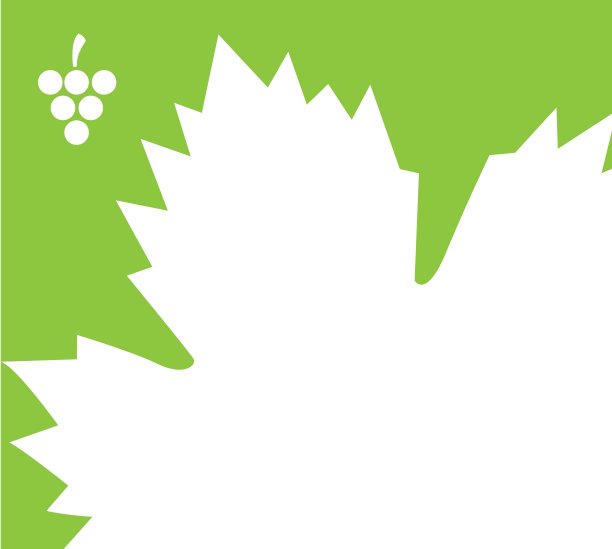 葡萄和叶子的模板设计图片下载